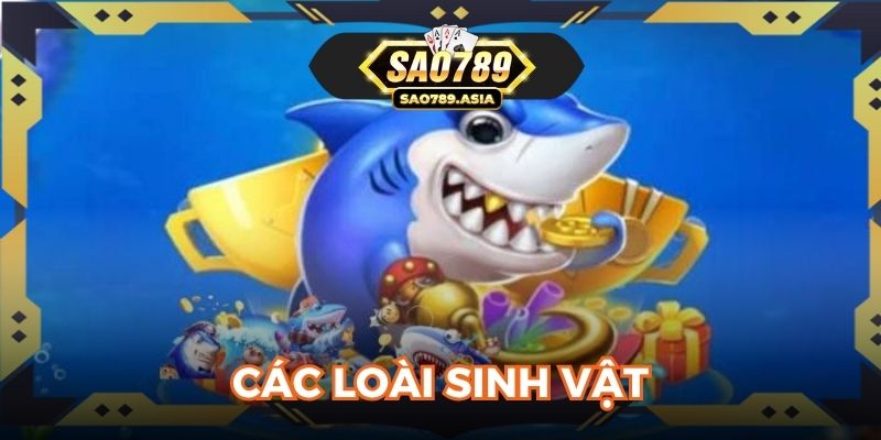 Các loài sinh vật