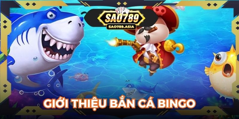 Giới thiệu bắn cá Bingo